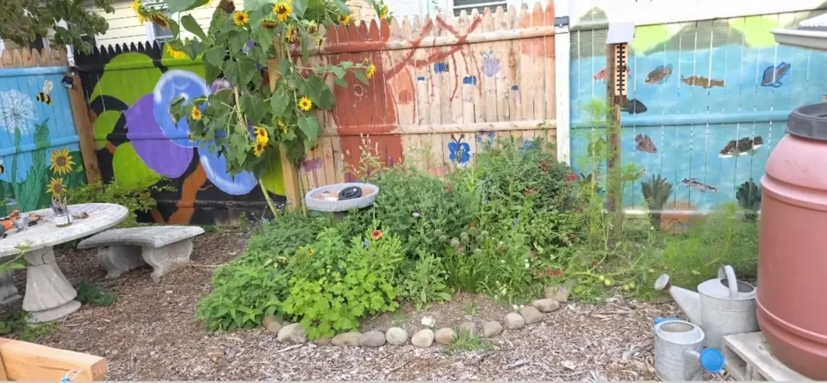 Butterfly education at Green Neighbors Network