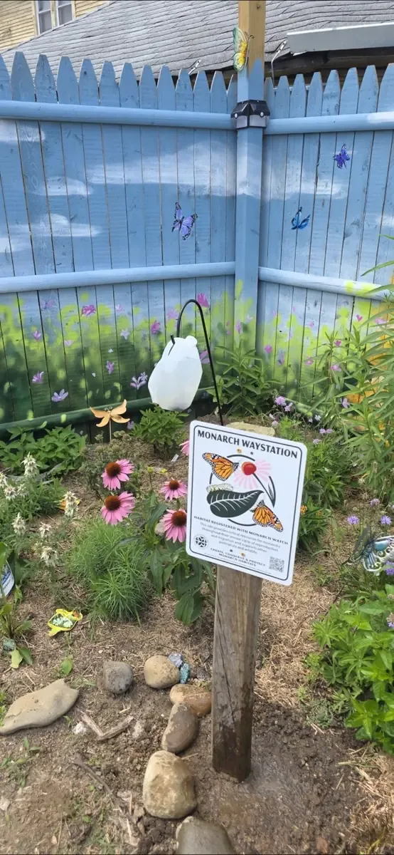Butterfly education at Green Neighbors Network